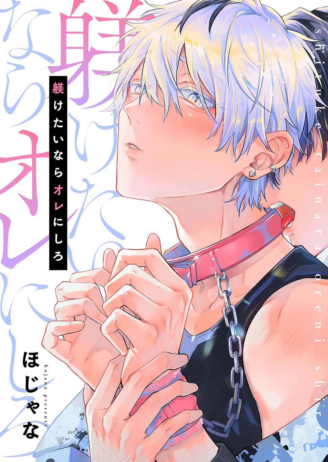 躾けたいならオレにしろ